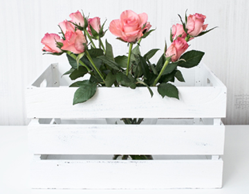 bukiet różowych róż
